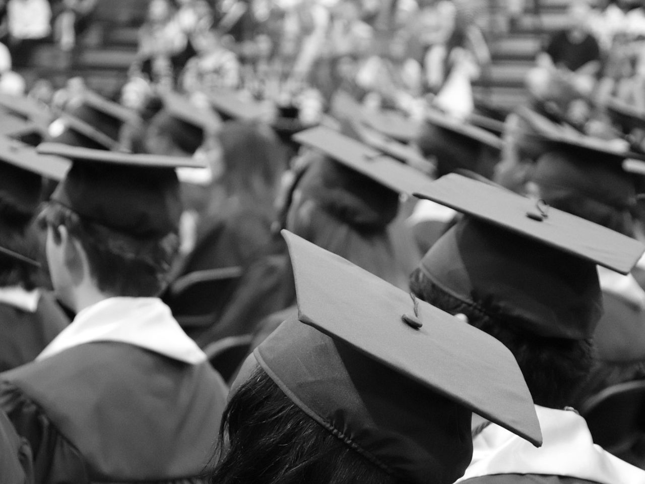 Stipendio e titolo di studio: la laurea “conviene” davvero? I risultati della ricerca