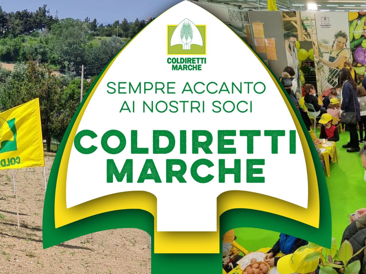 Coldiretti Marche, Milleproroghe: “Approvare per sostegno agricoltura”