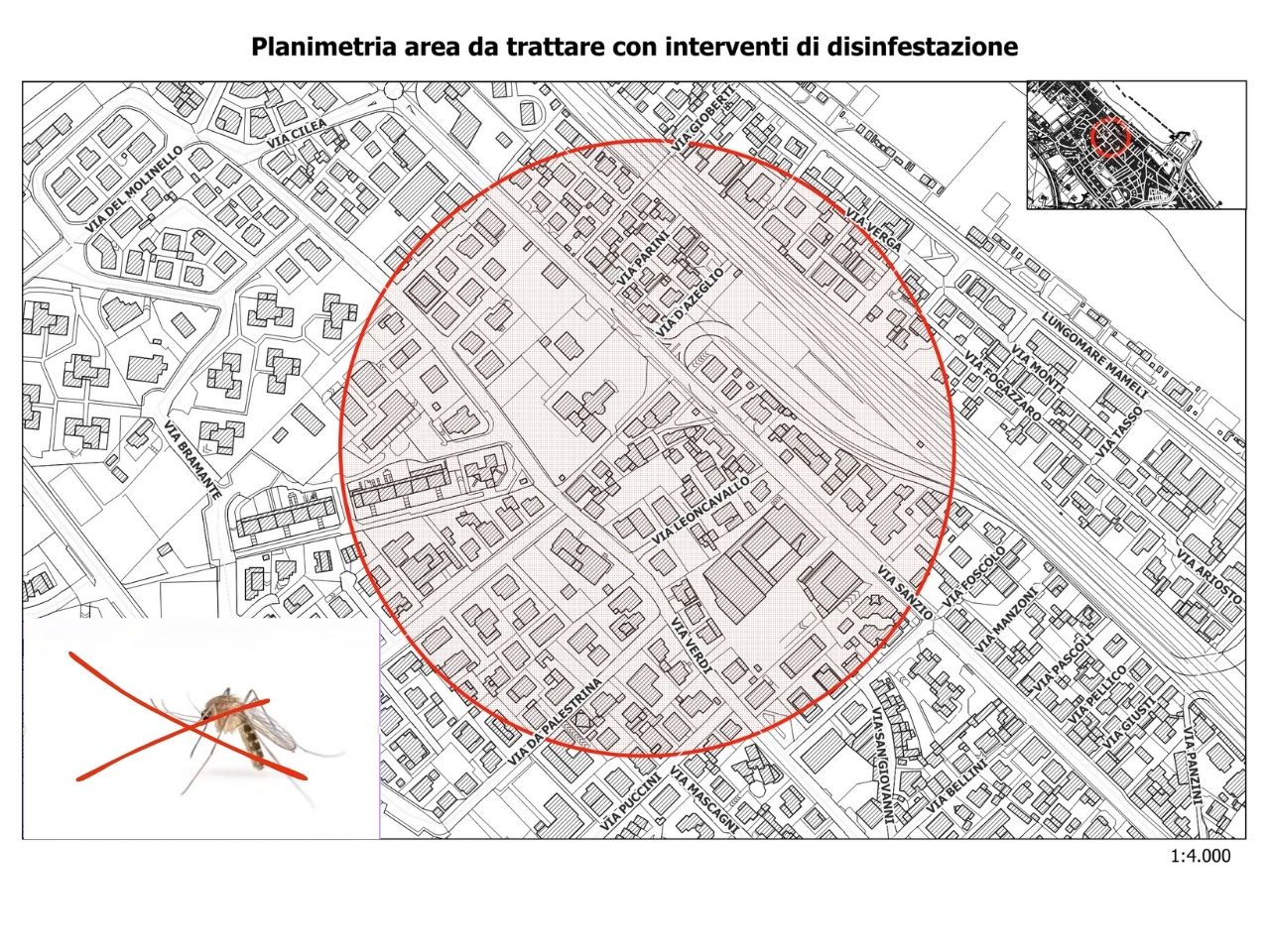 Caso di dengue, disinfestazione nella zona di via Sanzio a Senigallia