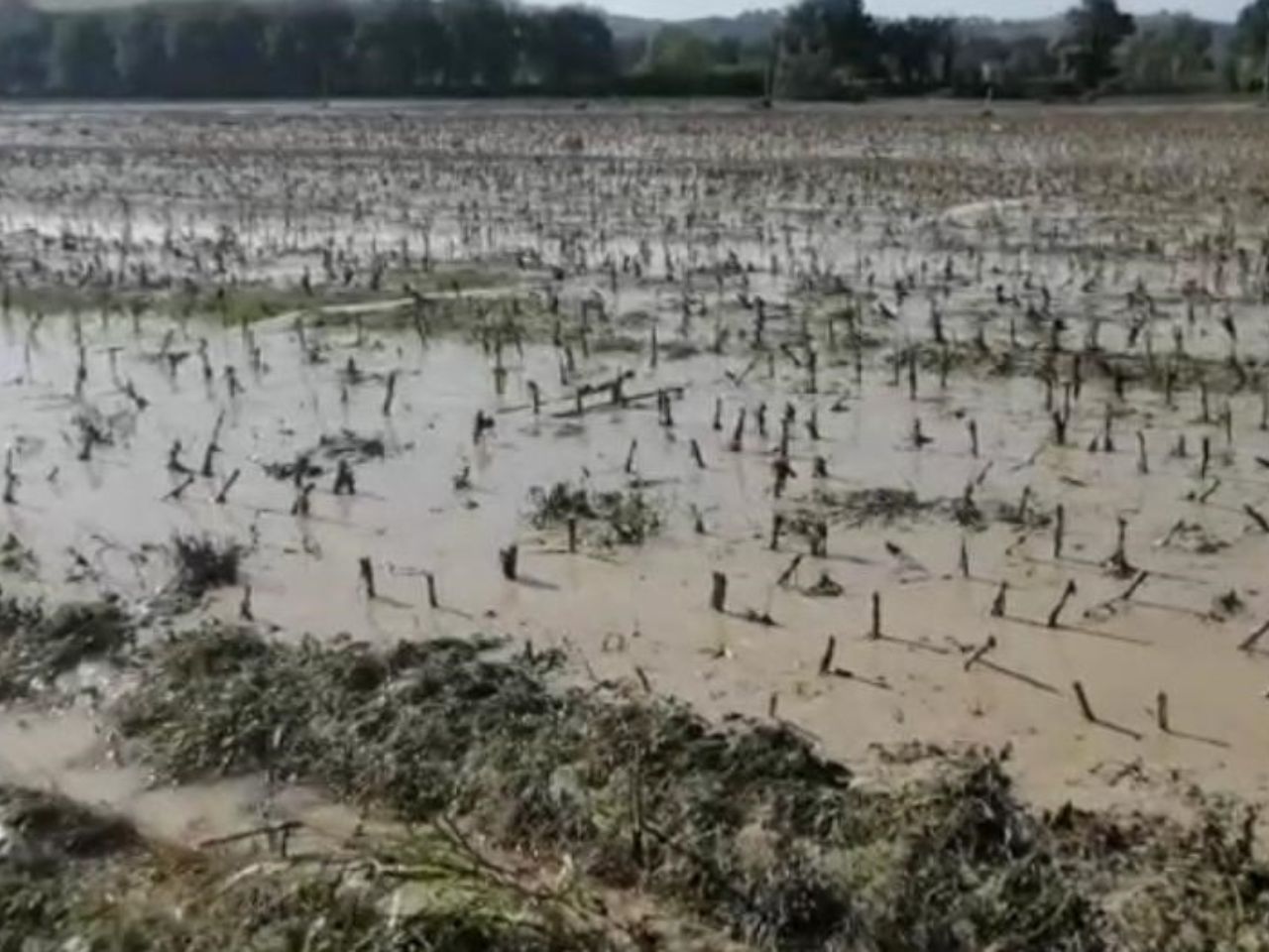 Giornata del suolo: “nelle Marche spariti 4 mila ettari di terreno in 15 anni”
