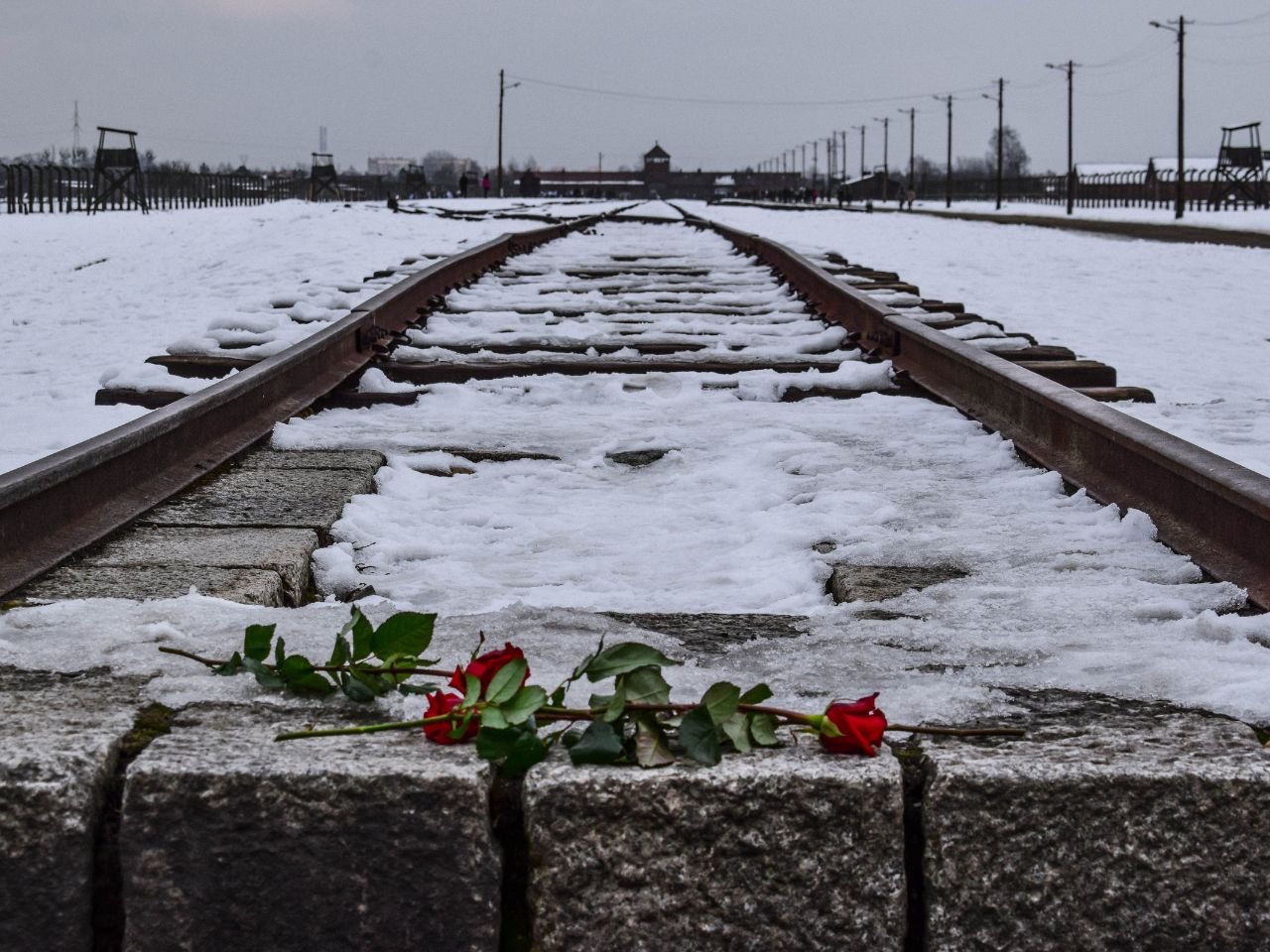 Giorno della memoria, Jesi ricorda le vittime dell’Olocausto: il programma