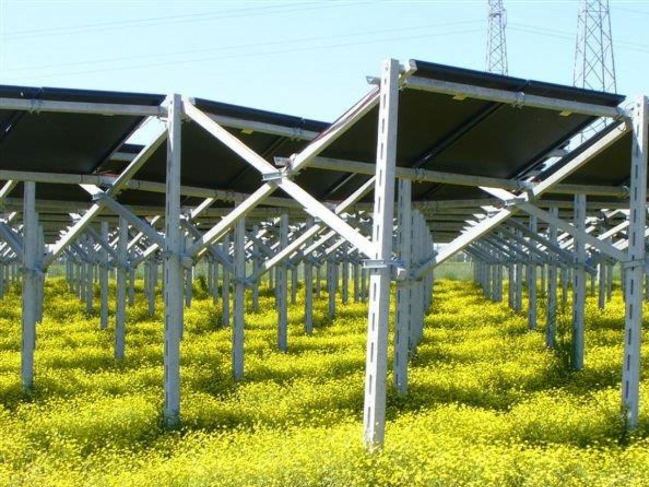 Impianto agro-voltaico, Chiaravalle Domani: “Progetto necessario, vigileremo su tutela paesaggio”