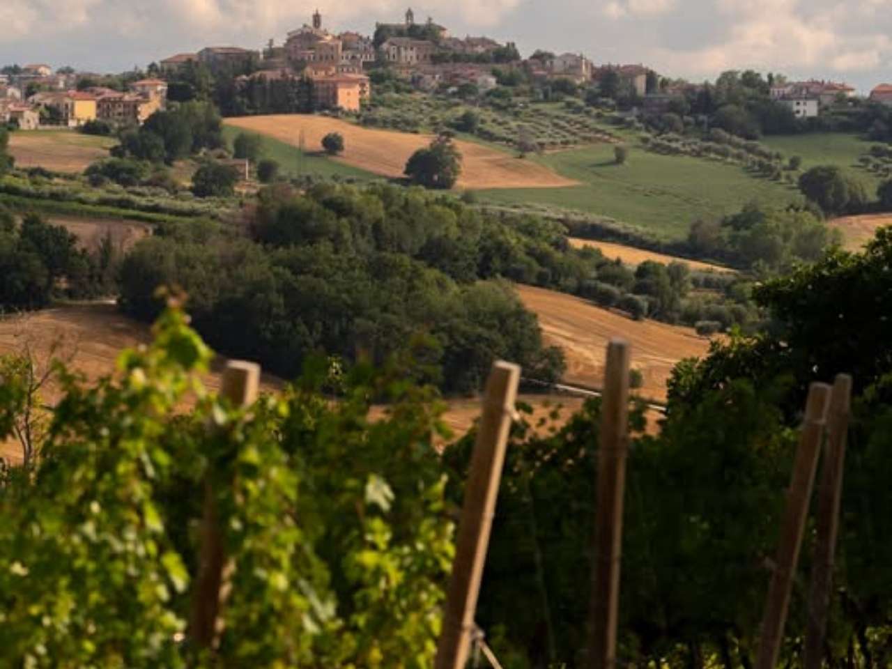 Morro d’Alba celebra la Giornata del Paesaggio con musica, arte e natura