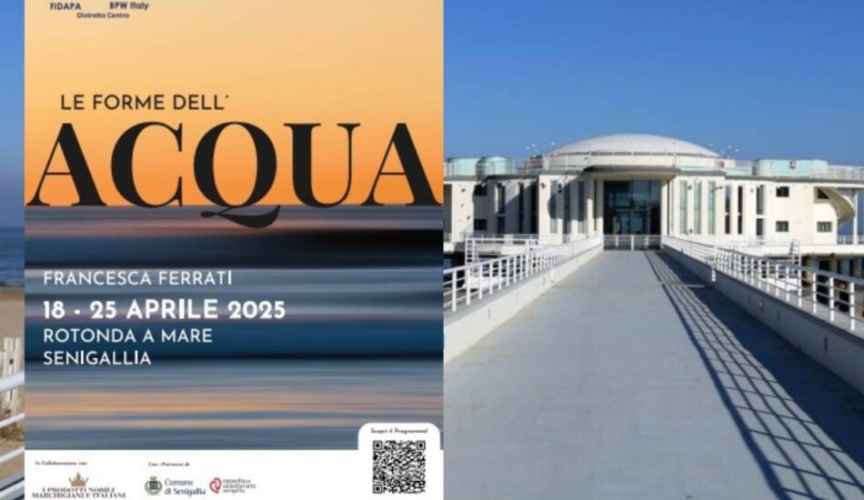 le forme dell'acqua senigallia