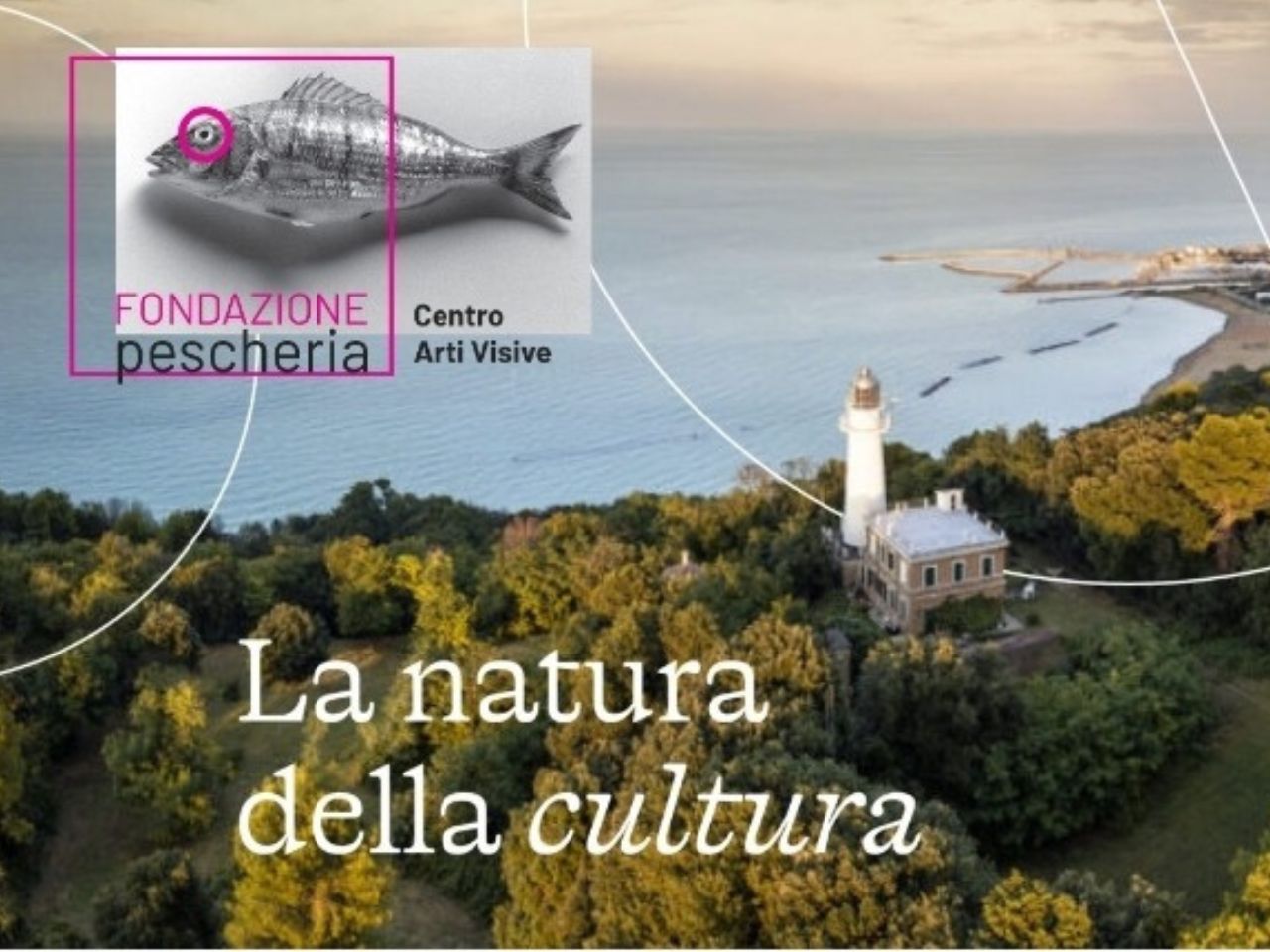 Pesaro, Scriboni alla guida della Fondazione Pescheria