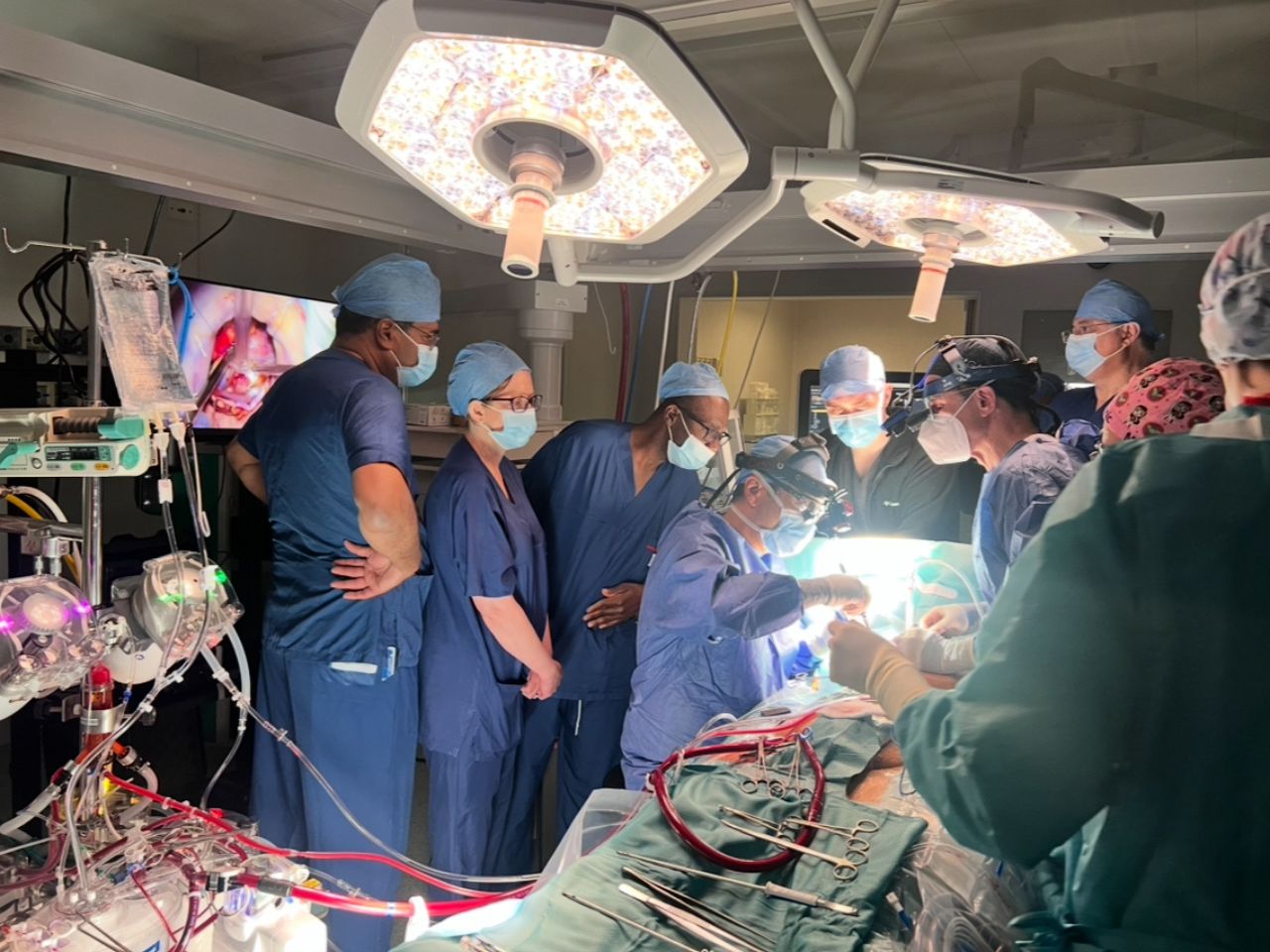 Cardiochirurgia d’eccellenza: una delegazione britannica in visita a Torrette