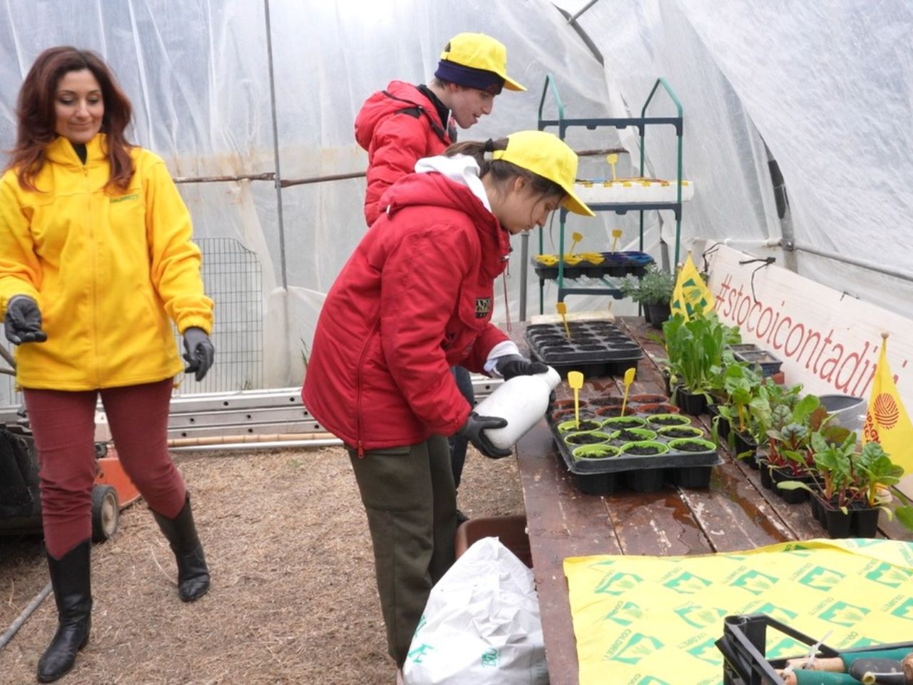 Nasce a Macerata l’E-Museo dei Frutti Antichi: con il progetto “Tuttincampo”