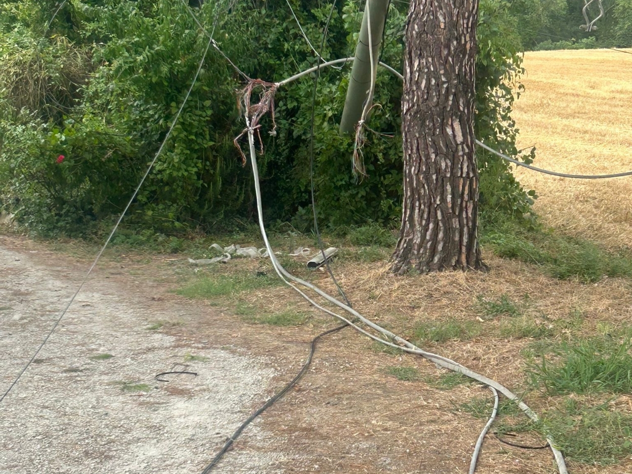 Santa Maria dell’Arzilla, camion trancia un cavo della rete Telecom