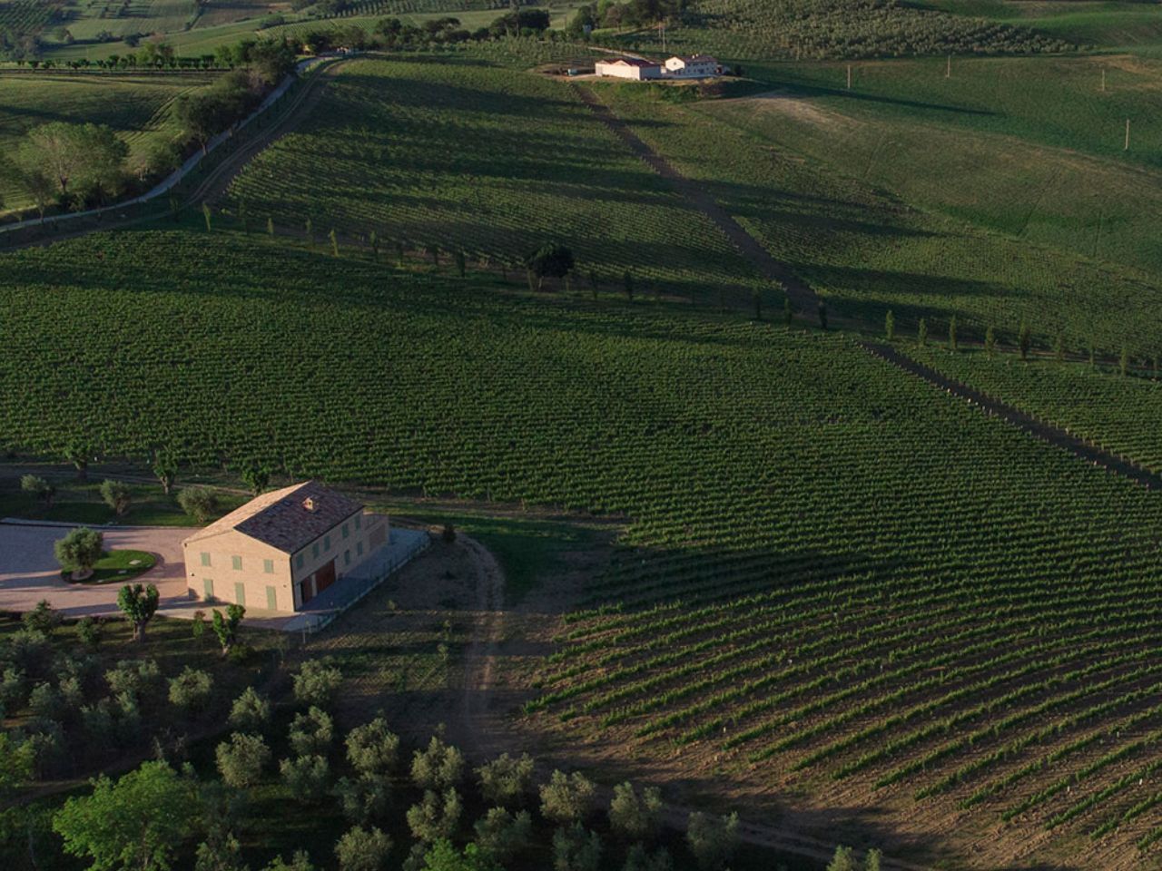Musica, vino e tramonto: il 1° agosto a Morro d’Alba “Wine Concert” con il pianista Micieli