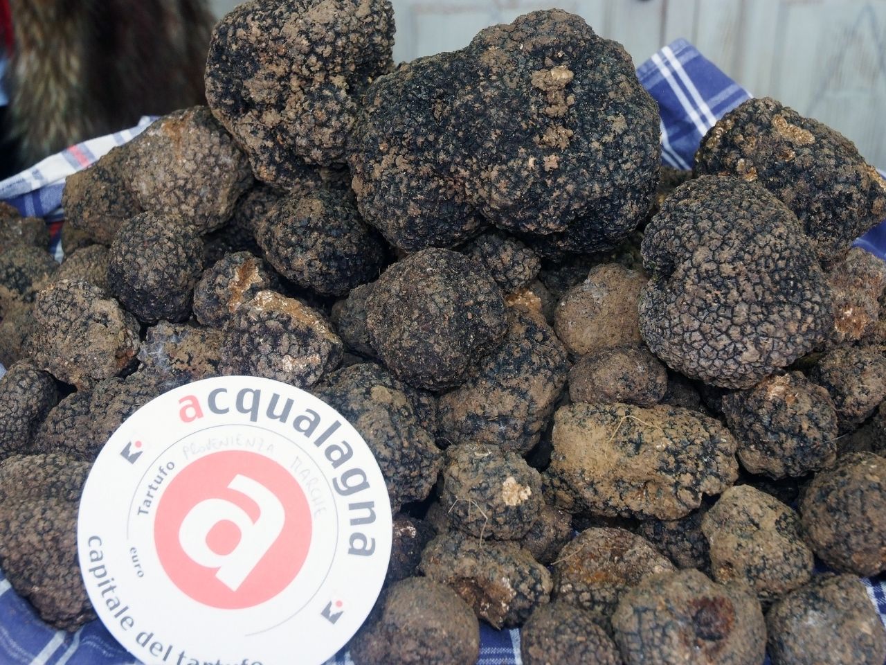 tartufo nero