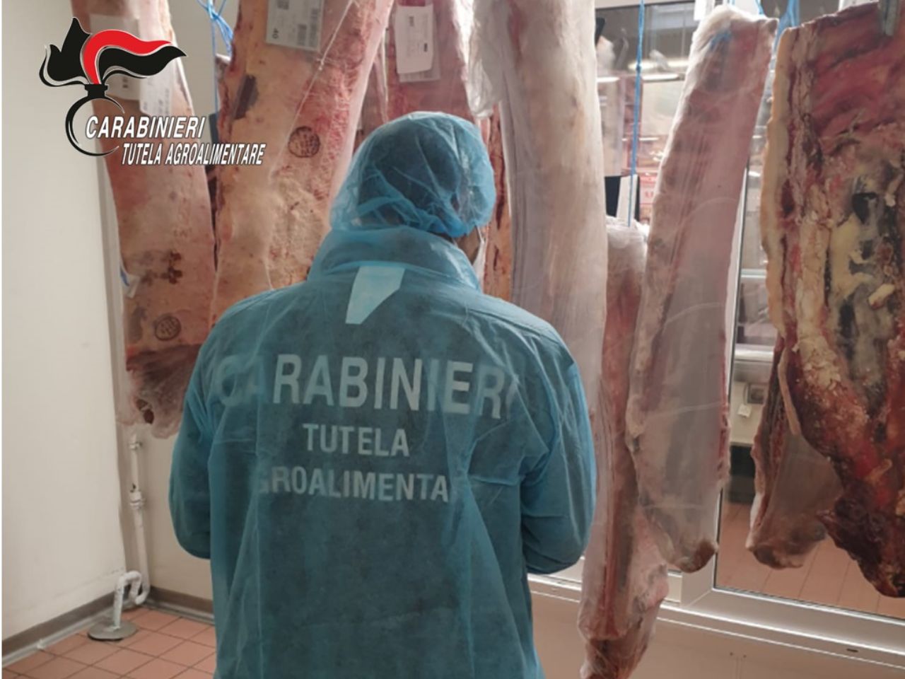 Carne straniera venduta come italiana: maxi frode scoperta dai Carabinieri