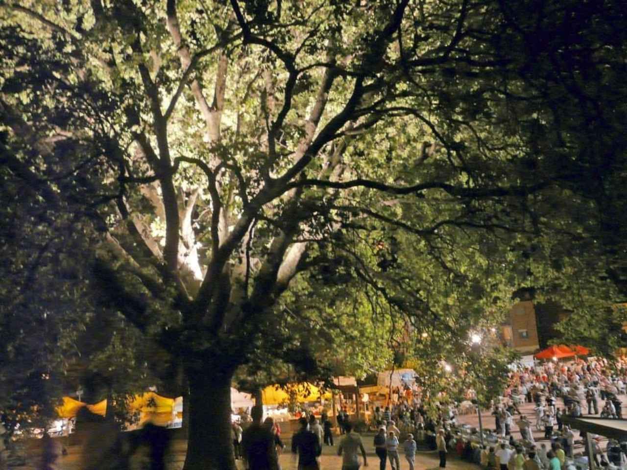 Castelbellino: la Festa della Quercia compie 35 anni: mongolfiera, cucina tipica e spettacoli