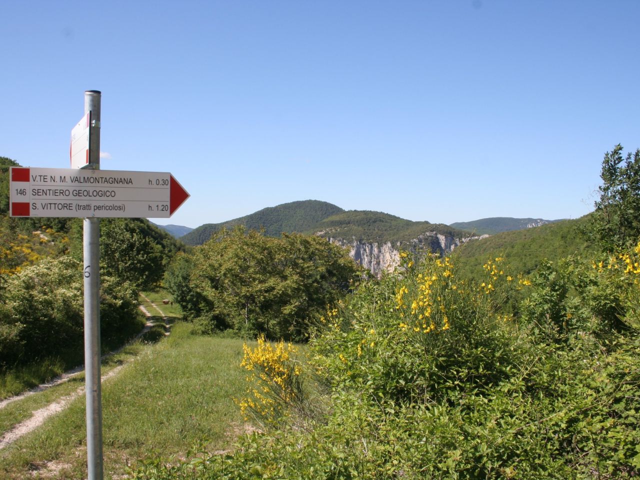 Fabriano, i forestali scoprono una grave violazione