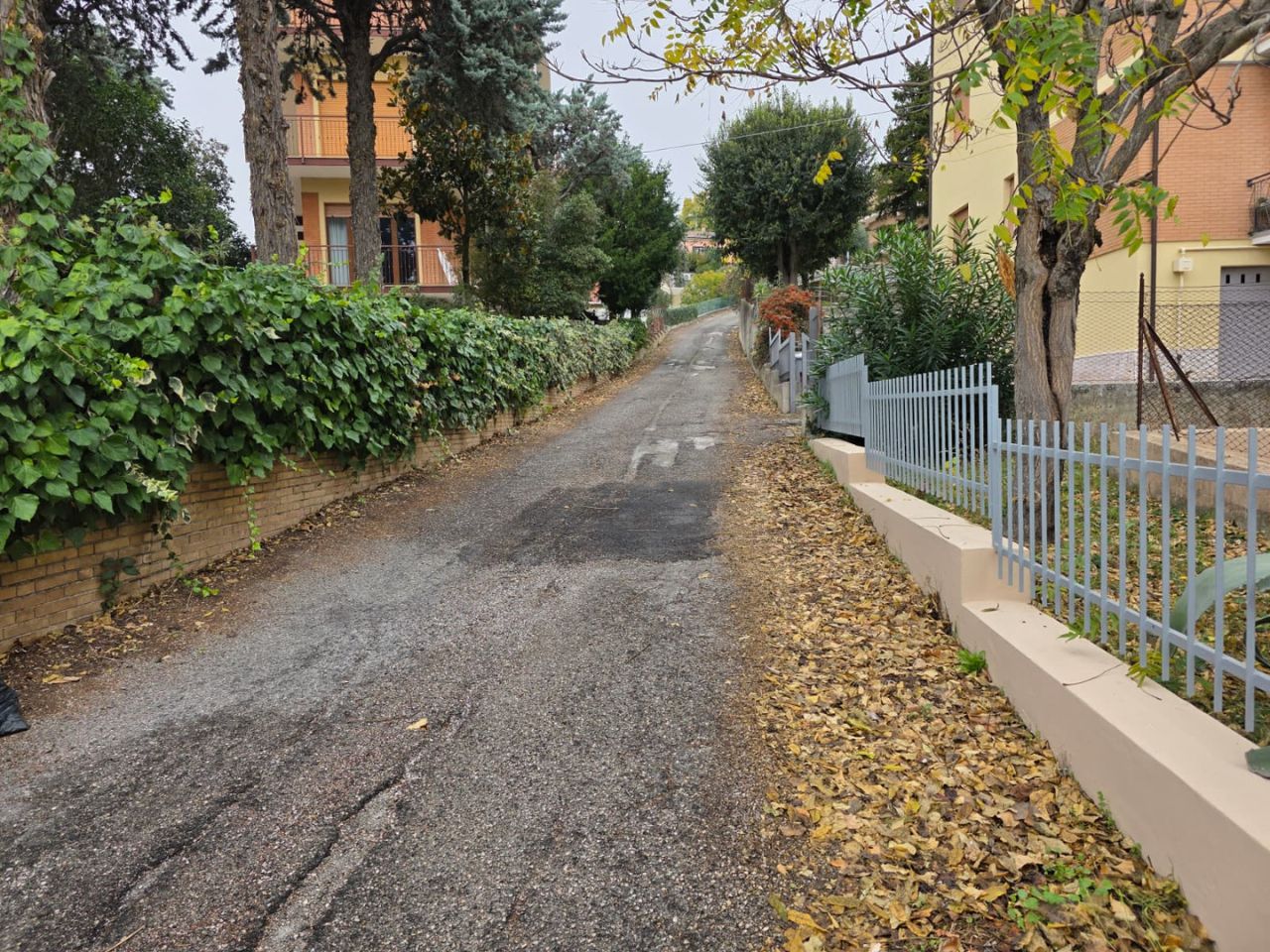 JesiClean e i cittadini ripuliscono via Ghandi