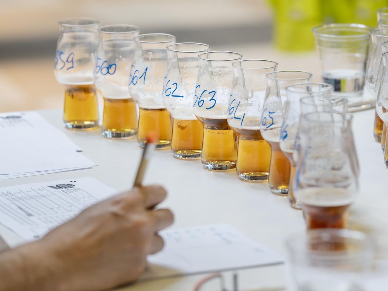 Al via “Birra dell’Anno 2026”, il concorso che premia l’eccellenza della birra italiana