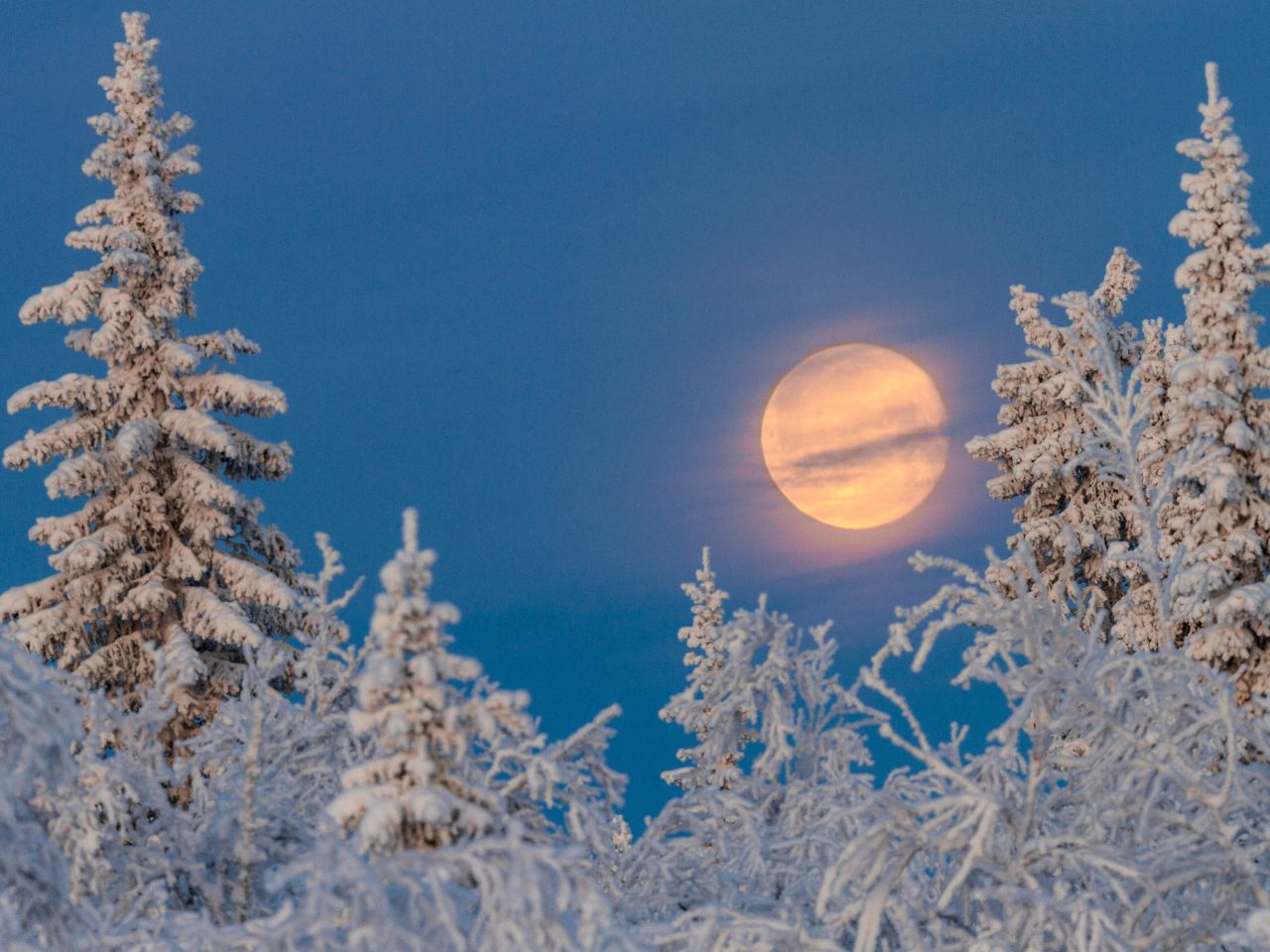 Superluna Fredda: tra il 4 e il 5 dicembre l’ultimo plenilunio del 2025
