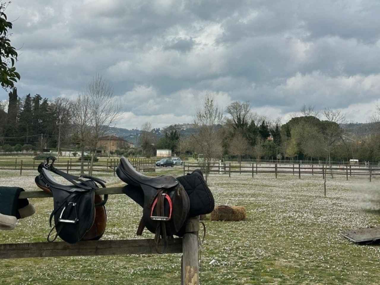 Moie, area equestre: l&rsquo;inaugurazione il 10 maggio poi al via le nuove attivit&agrave;