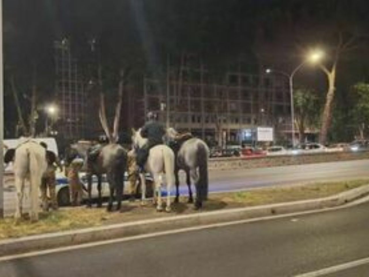 Roma, cavalli in fuga sulla Cristoforo Colombo