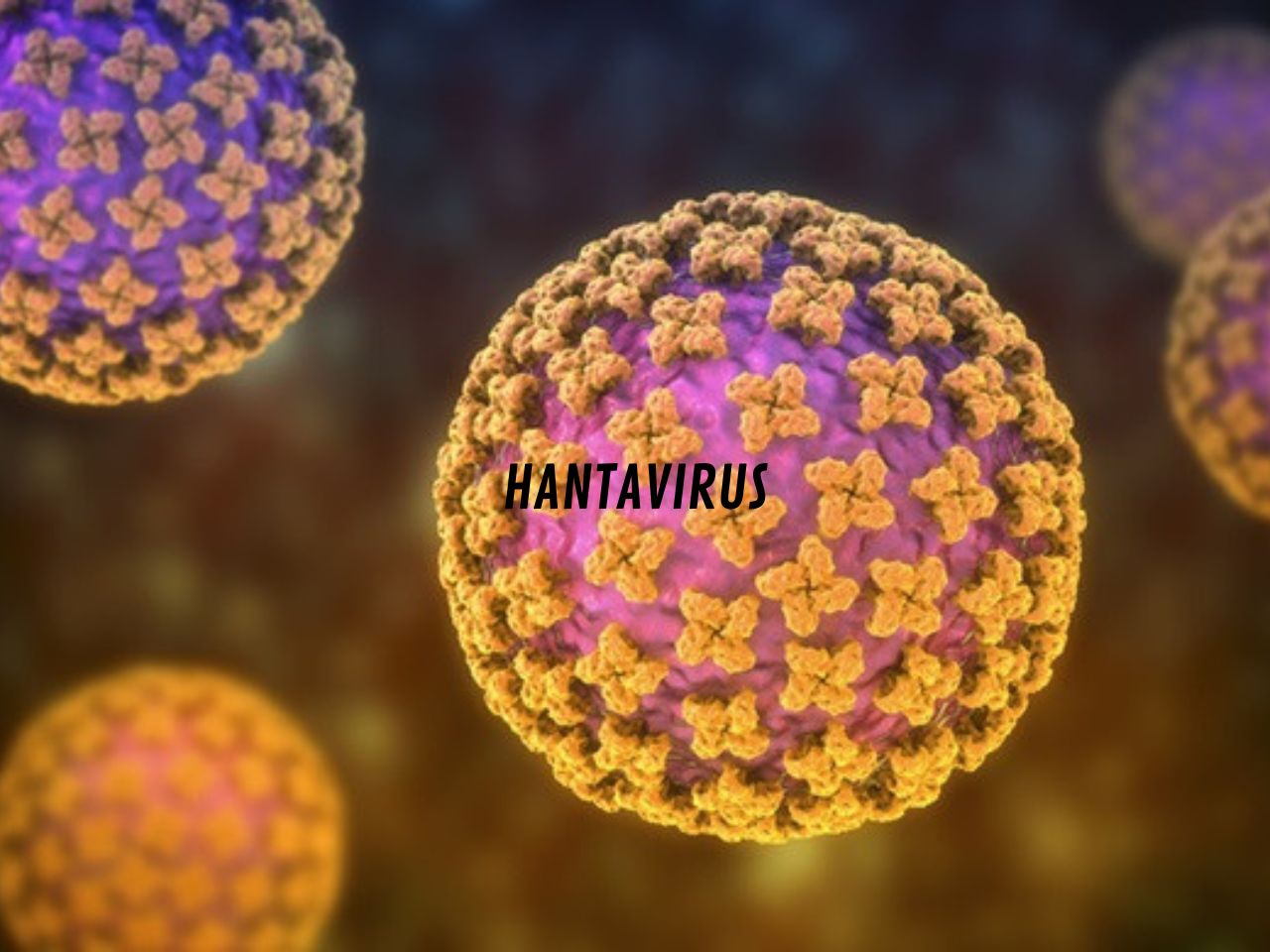 Allerta Hantavirus: monitorati 4 italiani di rientro dal &ldquo;volo del contagio&rdquo;
