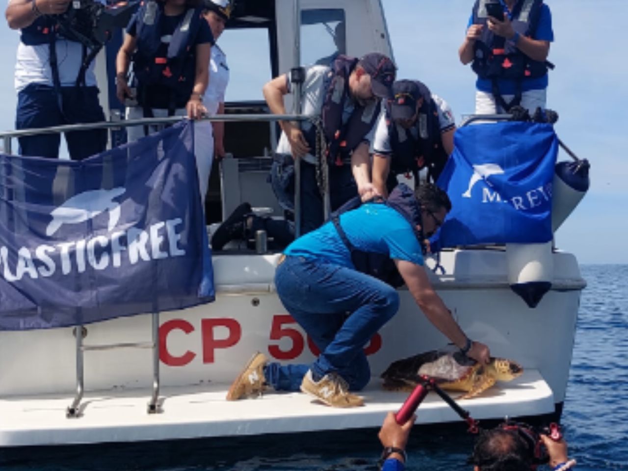Italian Turtle Day, nove tartarughe tornano in mare: l&rsquo;Italia unita per proteggere la biodiversit&agrave;