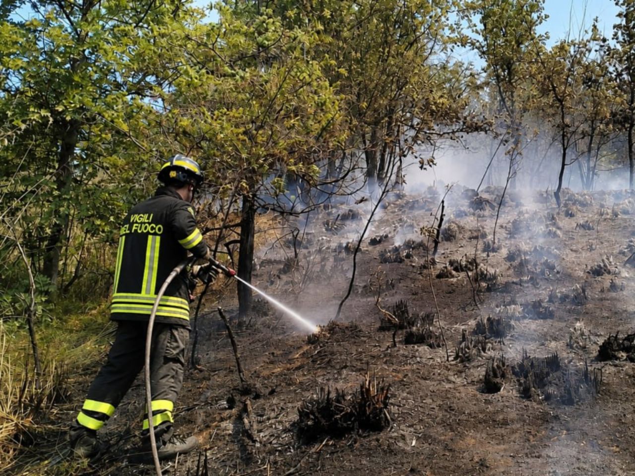 Incendio di vegetazione a Venarotta: Vigili del fuoco in azione