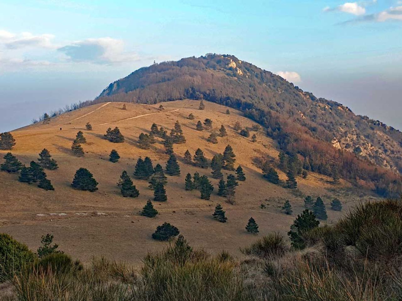 Le Marche festeggiano Eclissi di Sole dopo 27 anni in Europa
